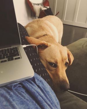 Image post by @sophieb on Instagram