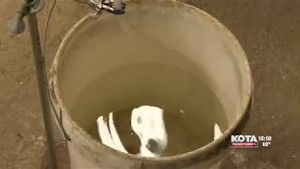 Video post by @kayleighschmidt4772 on YouTube