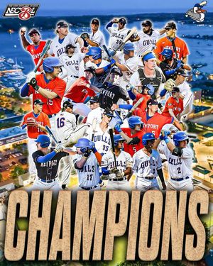 Image post by @newportgulls on Instagram