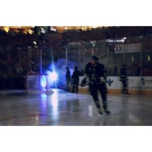 Image post by @swamprabbits on Instagram