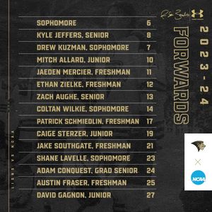 Image post by @luhockey_ncaa on Instagram