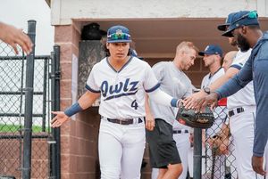 Image post by @nocoowlz on Instagram