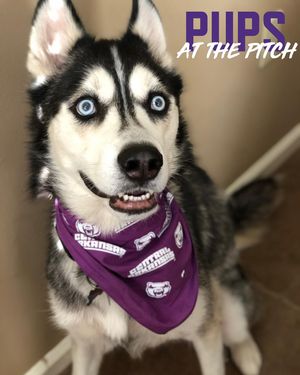 Image post by @ucaathletics on Instagram