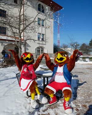 Image post by @rockyredhawk on Instagram