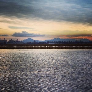 Image post by @lundbergfarms on Instagram