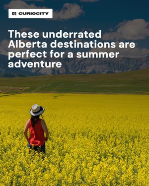 Image post by @curiocitycalgary on Instagram
