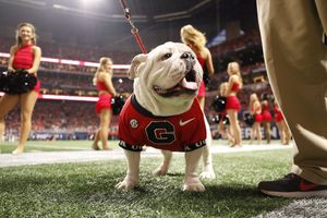 Image post by @universityofga on Twitter