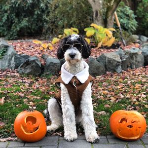 Image post by @pvellner on Instagram