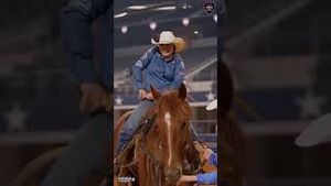 Video post by @pbr on YouTube