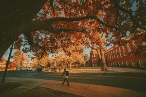Image post by @nauflagstaff on Instagram