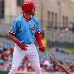 Image post by @memphisredbirds on Instagram