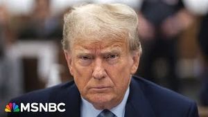 Video post by @msnbc on YouTube