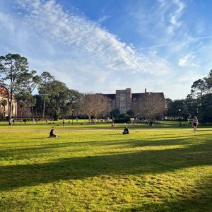 Image post by @floridastateuniversity on Instagram