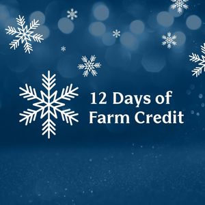 Image post by @farmcredit on Instagram