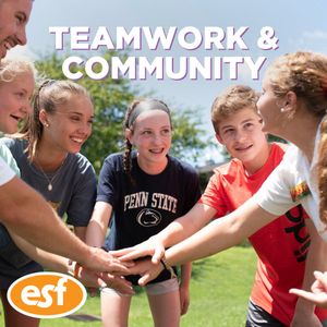 Image post by @esfcamps on Instagram