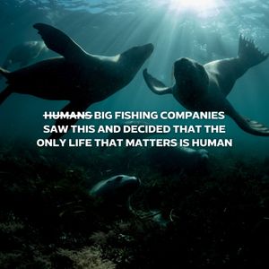 Image post by @greenpeace on Instagram