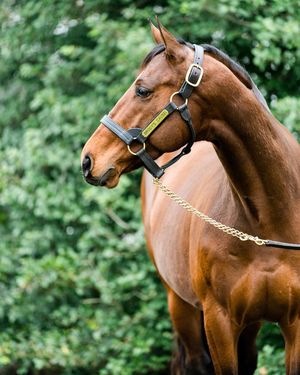 Image post by @spendthriftfarm on Instagram