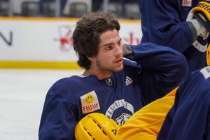 Image post by @PredsNHL on Twitter