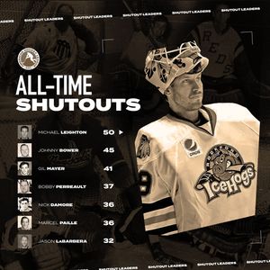 Image post by @theahl on Instagram