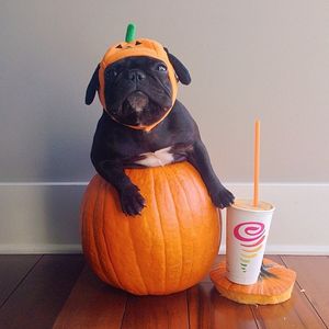 Image post by @jambajuice on Instagram