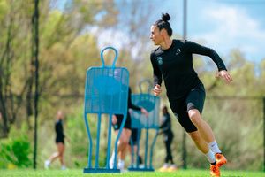 Image post by @alikrieger on Instagram