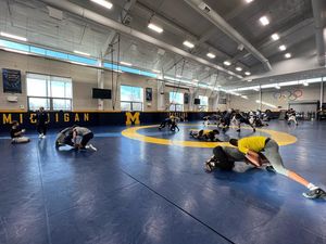 Image post by @umichwrestling on Instagram
