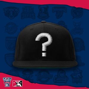 Image post by @fresnogrizzlies on Instagram