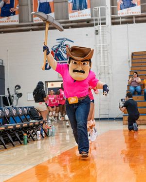 Image post by @utepvb on Instagram