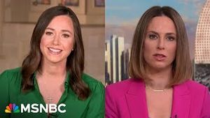 Video post by @msnbc on YouTube