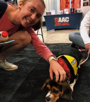 Image post by @cusewrowing on Instagram