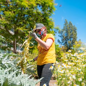 Image post by @ucdavishousing on Instagram