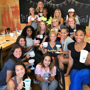 Image post by @wvugymnastics on Instagram