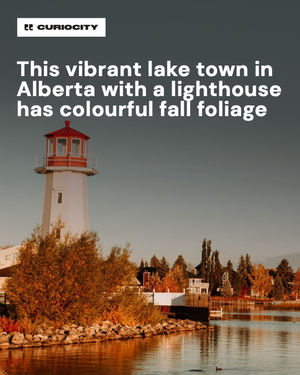 Image post by @curiocitycalgary on Instagram