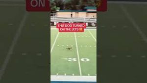 Video post by @espn on YouTube