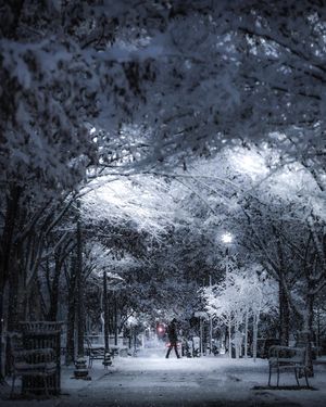 Image post by @aaron.k.baker on Instagram