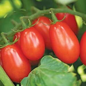 Image post by @wegmans on Instagram