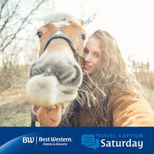 Image post by @bestwestern on Instagram