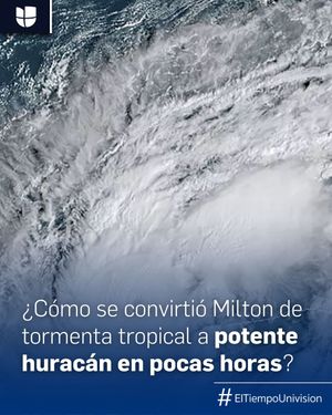 Image post by @univision23 on Instagram