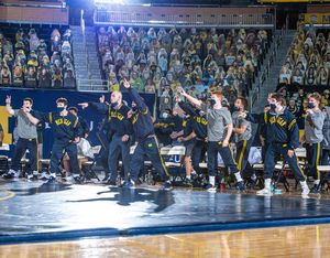 Image post by @umichwrestling on Instagram