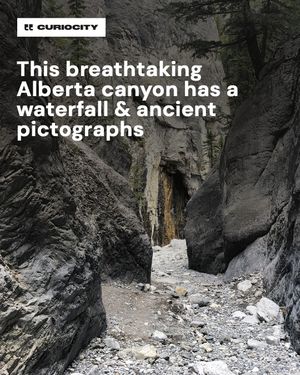 Image post by @curiocitycalgary on Instagram