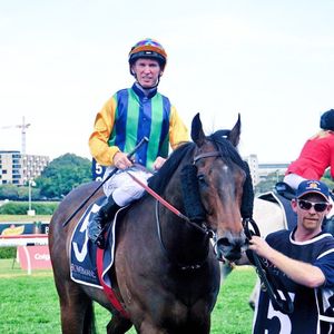 Image post by @australianturfclub on Instagram
