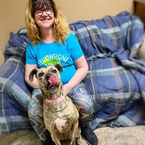 Image post by @spokhumanesoc on Instagram