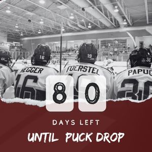 Image post by @d3mostateicebears on Instagram