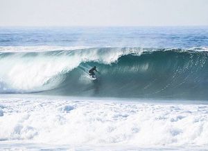 Image post by @ucsc_athrec on Instagram