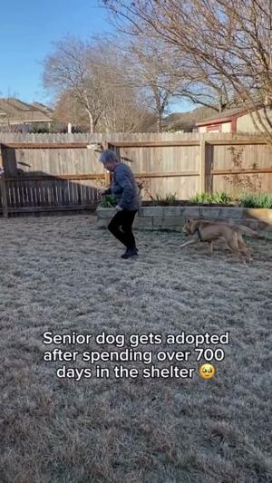 Image post by @YuMOVE.US on Facebook