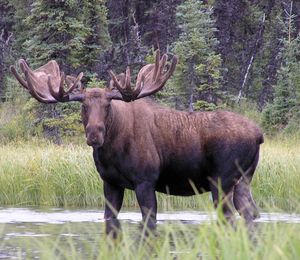 Image post by @nationalparkservice on Instagram