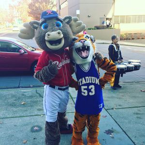 Image post by @tacomarainiers on Instagram