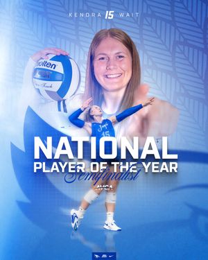 Image post by @CreightonVB on Twitter