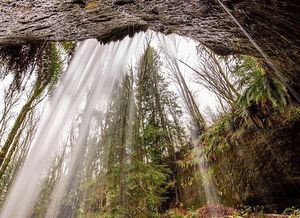 Image post by @tourismabbotsford on Instagram