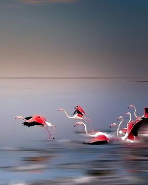 Image post by @fubiz on Instagram